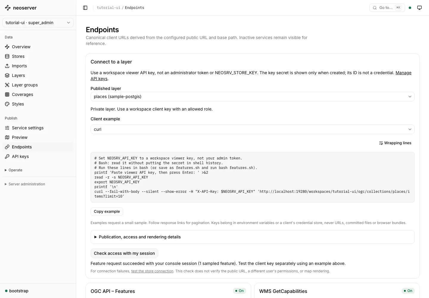 Client endpoints showing the places layer and a successful console-session access check